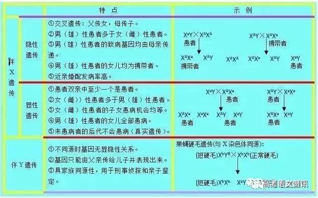 稳定设计解析策略：澳门精准四肖期期中特公开_VIP100.30.25