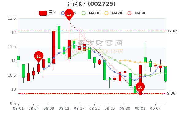 跃岭股份最新动态全面解析