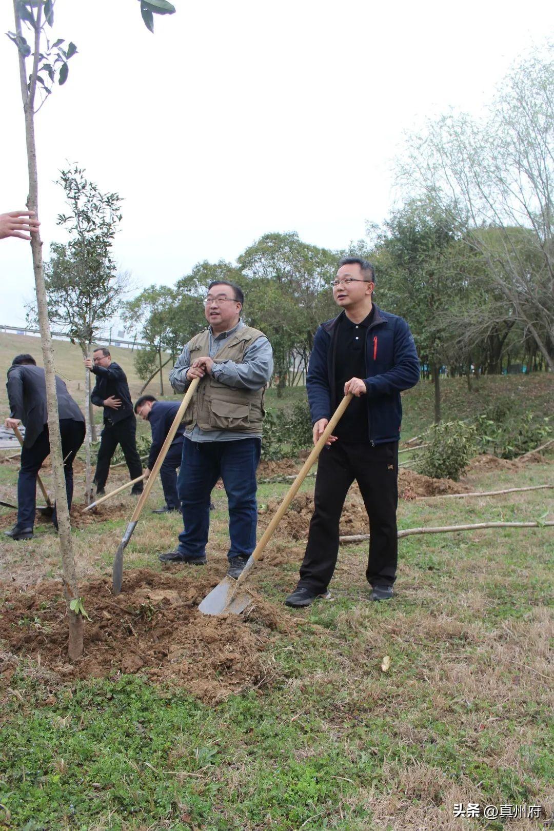 仪征人才市场最新招聘信息全面概览