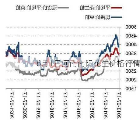 南阳花生价格最新动态，市场行情及分析摘要