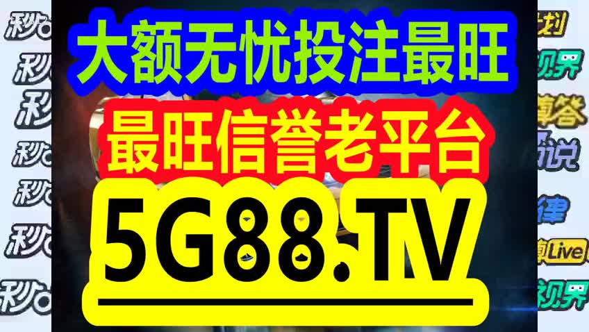 2024管家婆一码一肖资料，动态词语解释落实_3D38.99.94