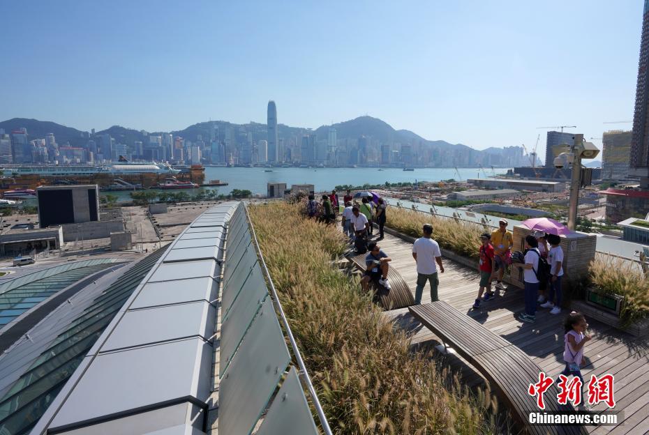 2024香港港六开奖记录，深度分析解析说明_苹果款14.15.16