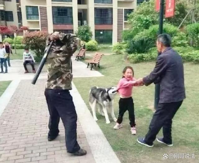 高校保安打死幼犬事件引发关注，呼唤理解与正义的声音