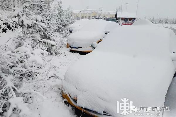 注意保暖！漠河最大积雪深度19厘米