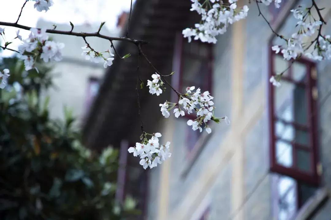 高校特殊现象引关注，饭点时刻校门关闭现象探讨