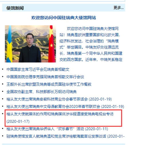 瑞典议员涉华错误言论的应对与反思，详细步骤指南与启示