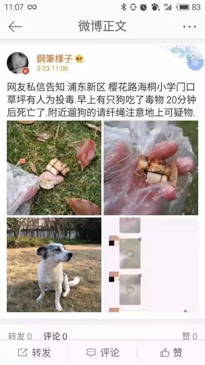 贵州小区宠物狗集体中毒事件，小巷独特小店揭秘