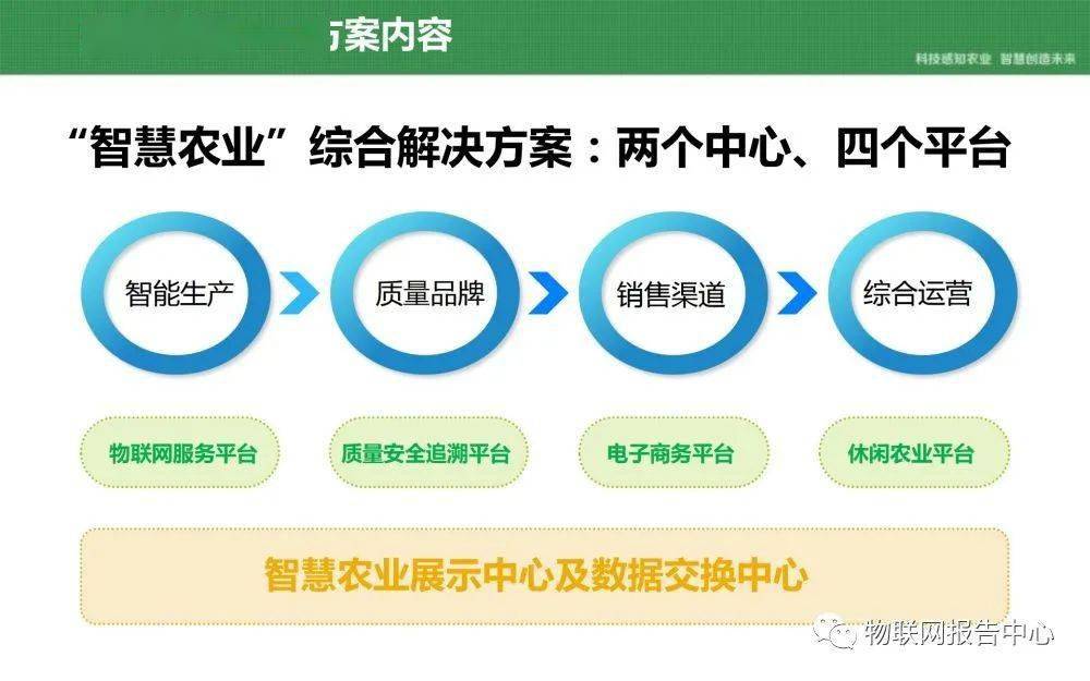 澳门一码一肖一特一中2024,循环性解答落实计划_严选版6.528