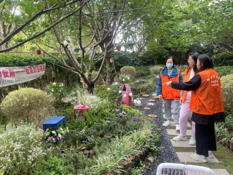 女子小区摔骨折维权记，勇敢疗愈与寻找内心平静的旅程