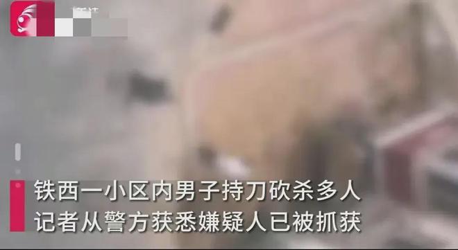 小米SU7购买纠纷引发悲剧，男子持刀伤人致一死背后的深思