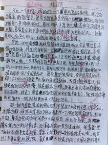 两高中生奸杀教师案疑团重重，不写悔过书背后的真相与自然的对话