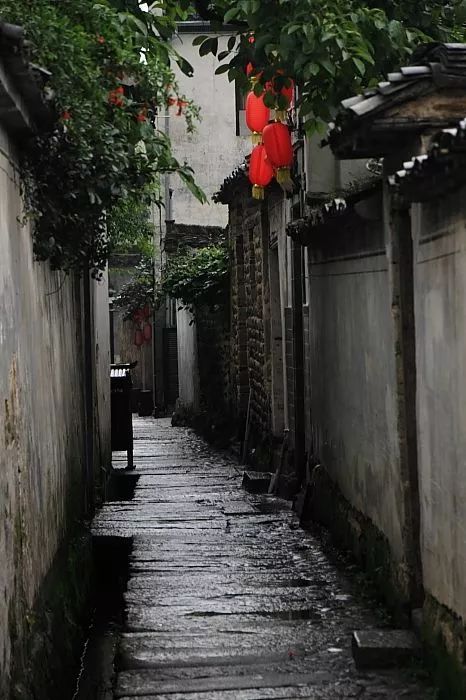 东北雨宙的秘密角落，独特风味的小巷与平行宇宙的交汇点