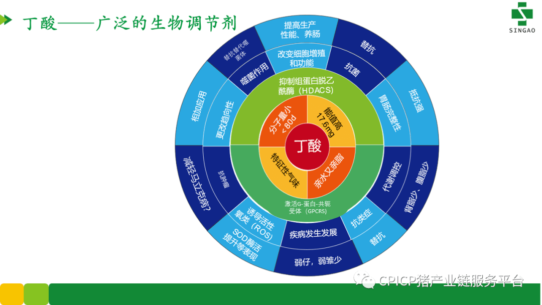 新奥天天免费资料东方心经,快捷策略计划研究_迅捷款10.933