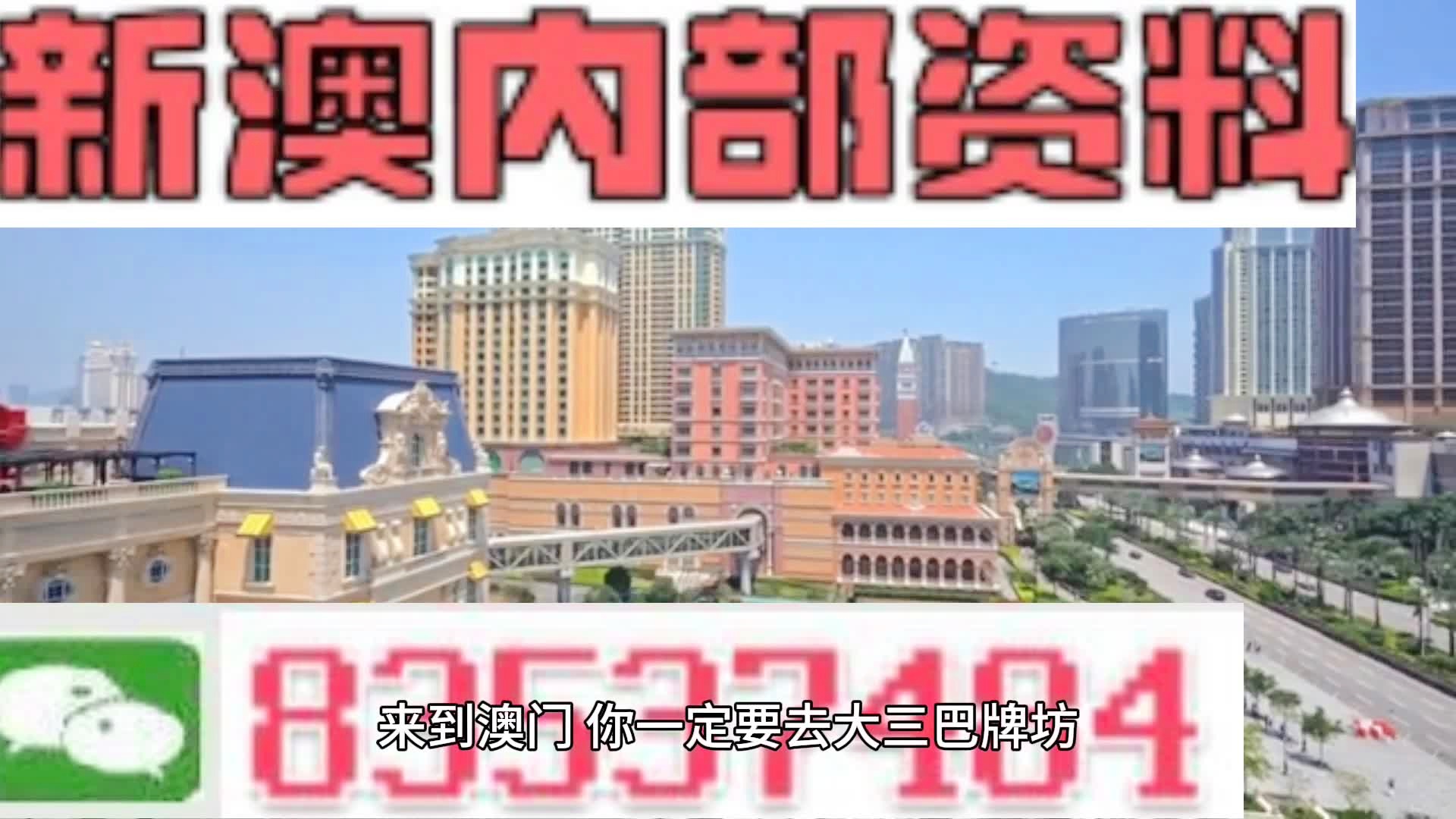 2024新澳门资料最精准免费大全,科学数据评估_新手集79.41