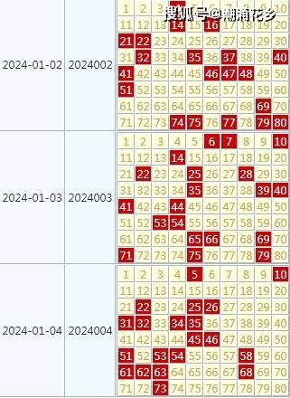 2024天天开好彩大全,节省实施解答解释_立体版79.801