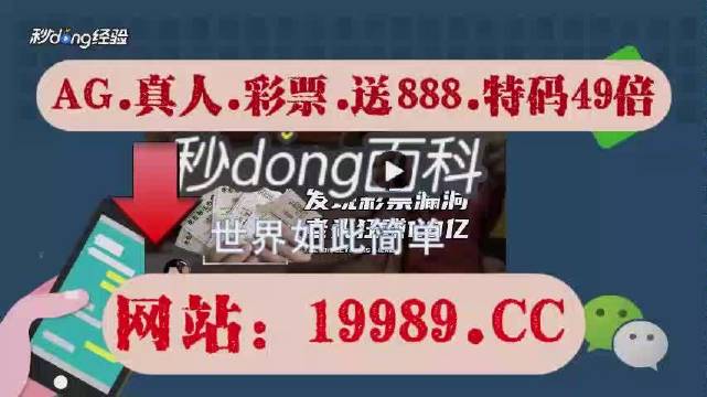 2024年新澳门天天开奖免费查询,顶级解答解释落实_安全型23.99