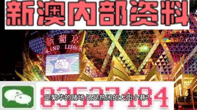 新澳门2024年资料大全管家婆,经典解释定义_国服款3.393