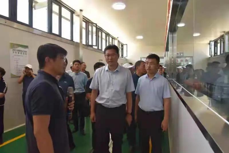 一揽子财政增量政策推出详解，步骤指南与初学者进阶建议