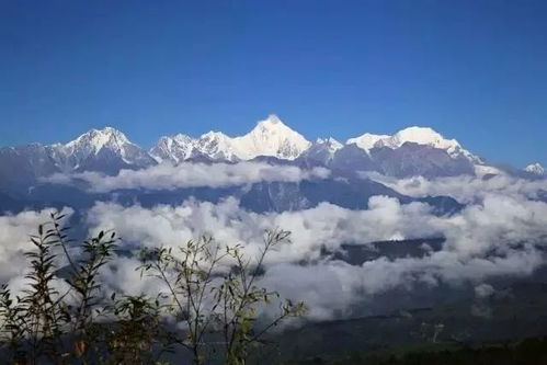 哀牢山神秘科考之旅，鸟鸣如人语