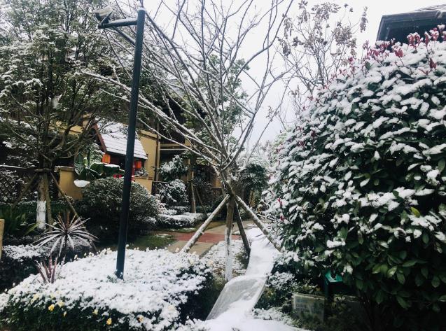 成都迎来今年首场秋雪，城市中的意外惊喜降临