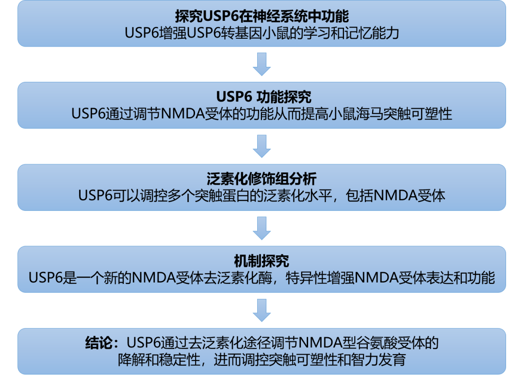 辽阳龙石风景 第245页