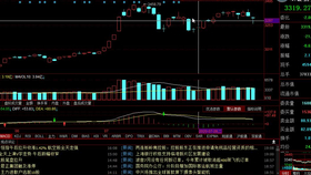 澳门今晚必出一肖，数据解读详析_社交平台YMN660.68