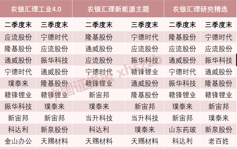 2024新奥正版资料最精准免费大全,状况评估解析_竞技版XZS436.31