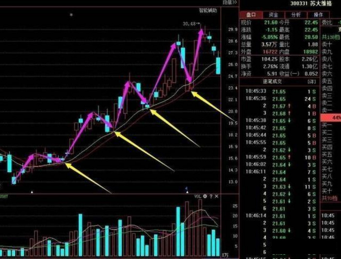 王中王传真解析：安全策略揭秘，主力版LVP427.98深度分析