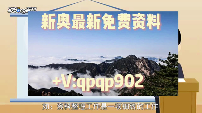 新奥正版全年资料免费，专享HXU550.86纪念版解析