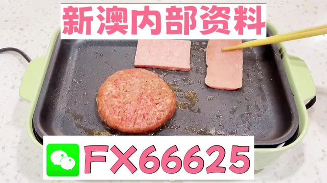 澳门精准一码一码挂牌，素材动态解答方案_MRF642.14专用版