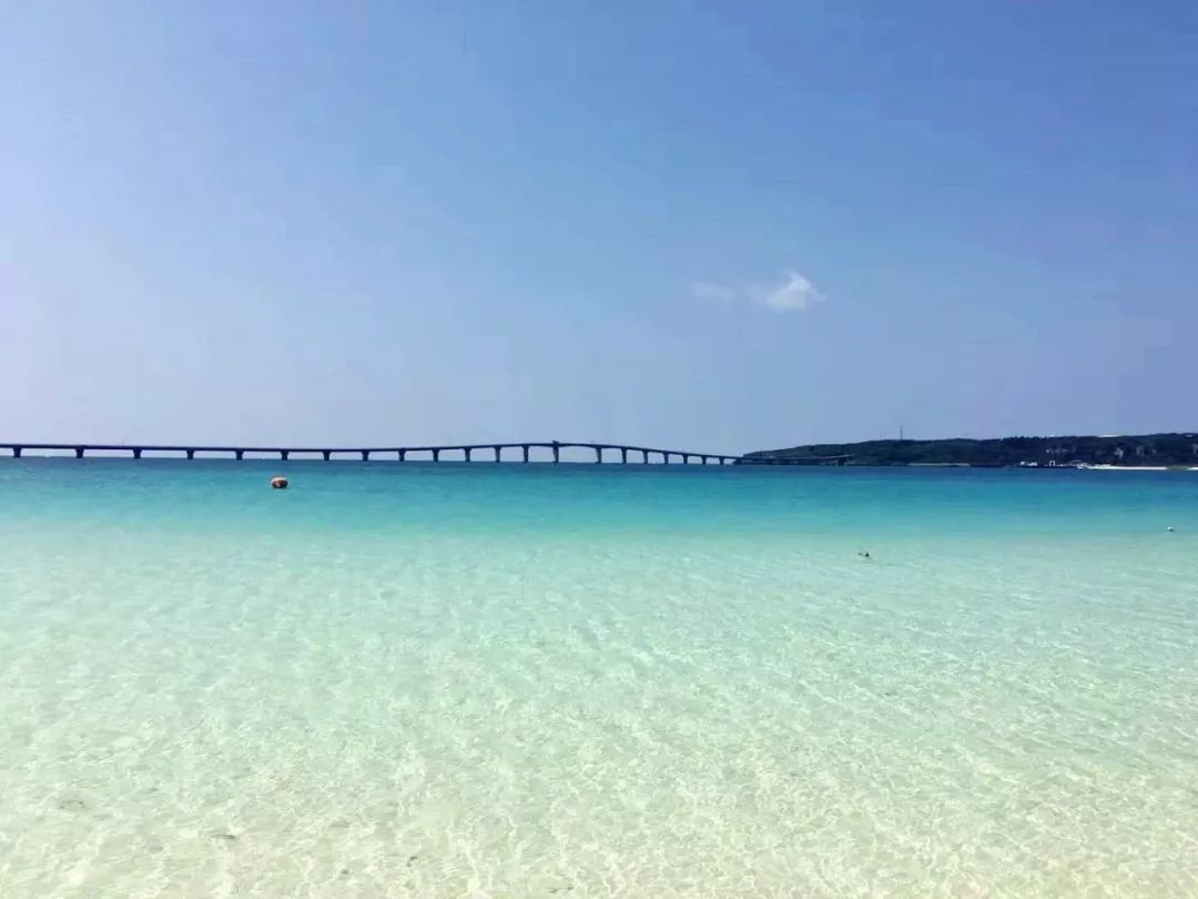 老人跟团游遭遇购房陷阱，海景房背后的意外之旅