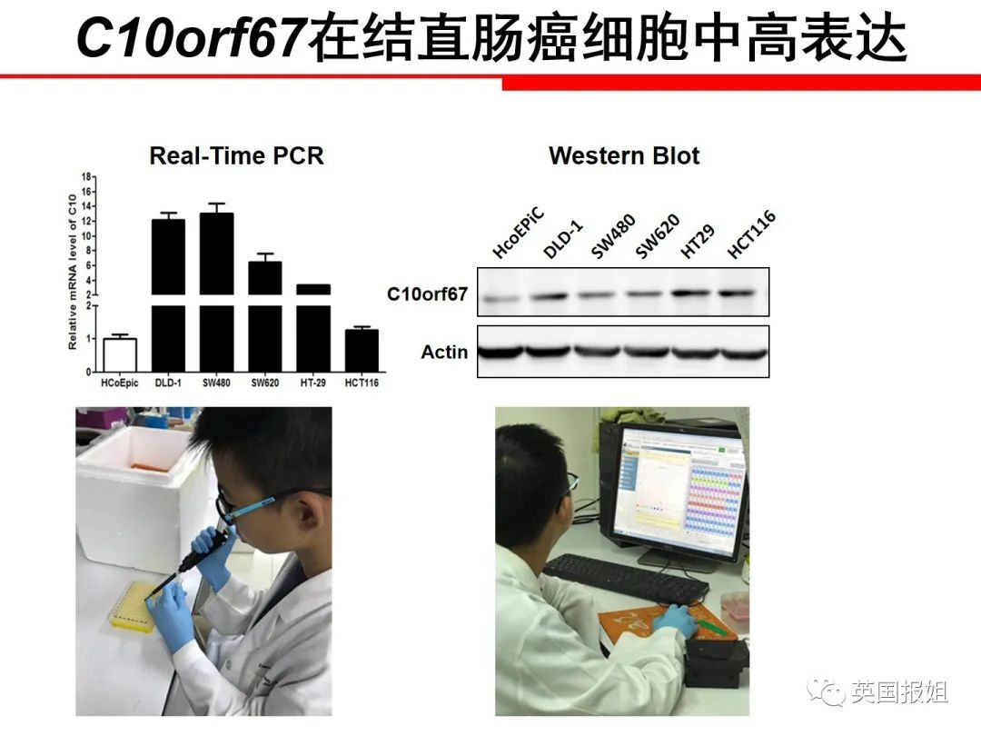 今晚澳门特马开什么,动态词语解析_ORF360.63化天境