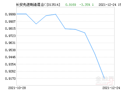 今日最新净值查询，关于110011基金净值的深度解析