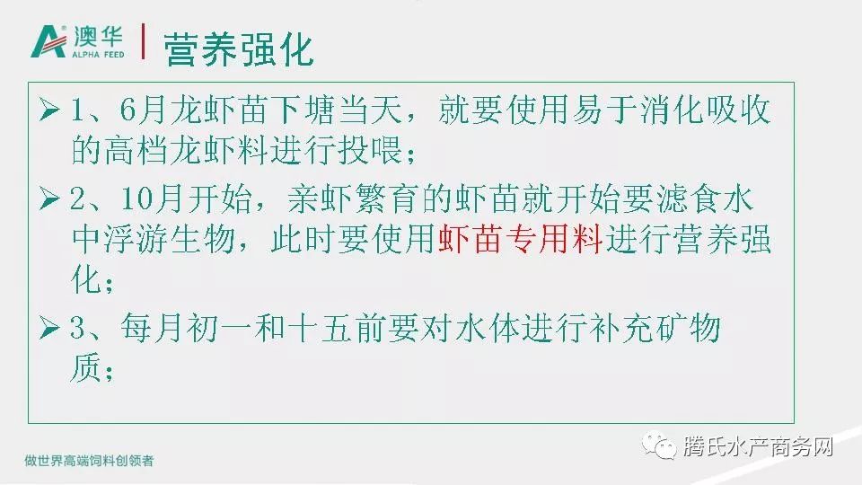 2024澳新资料大全免费分享，纺织科学与工程资料精选_练脾XUJ559.46