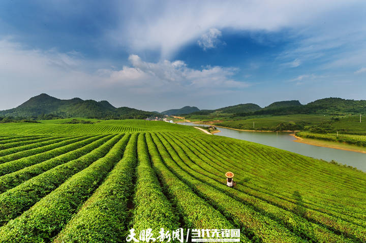 瀚齐食用菌，自然之旅带你远离尘嚣，探寻内心宁静的最新动态