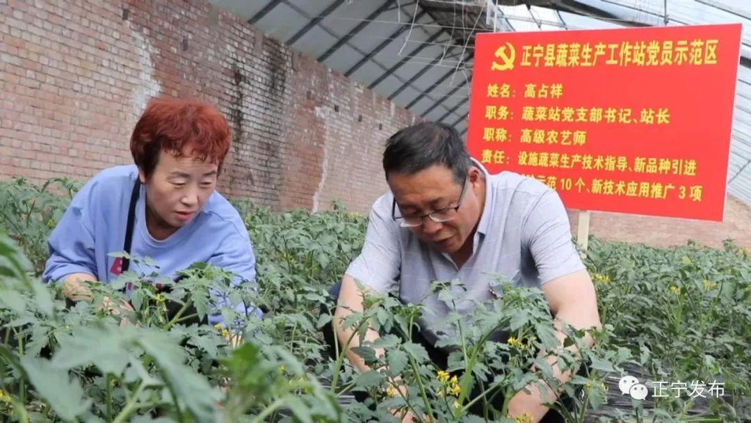 高中老师学历最新要求，科技引领未来教育，开启新征程