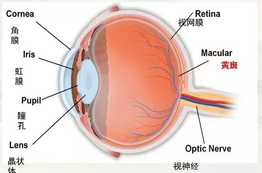 眼底黄斑出血最新治疗方法，自信之旅与变化的力量