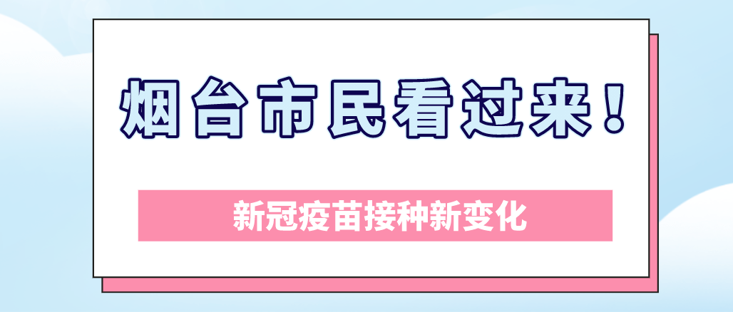 交通法规新规定全文解析，驾驭变化，自信前行之路