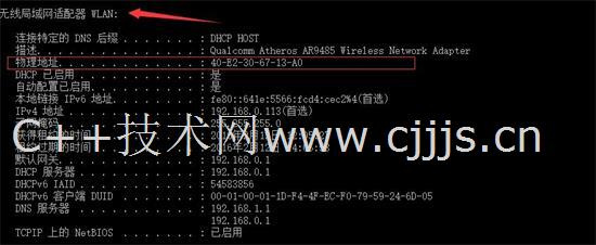 管家婆正版今晚开奖结果,专家解答解释落实_Essential57.795