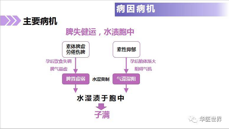 管家婆一肖一马最早出图,瞬时解答解释落实_3D54.377