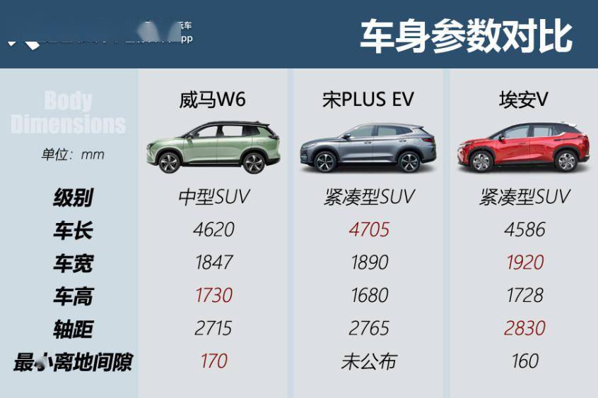 精准一肖100准确含义大揭秘深度剖析解析解答_终极指南2023