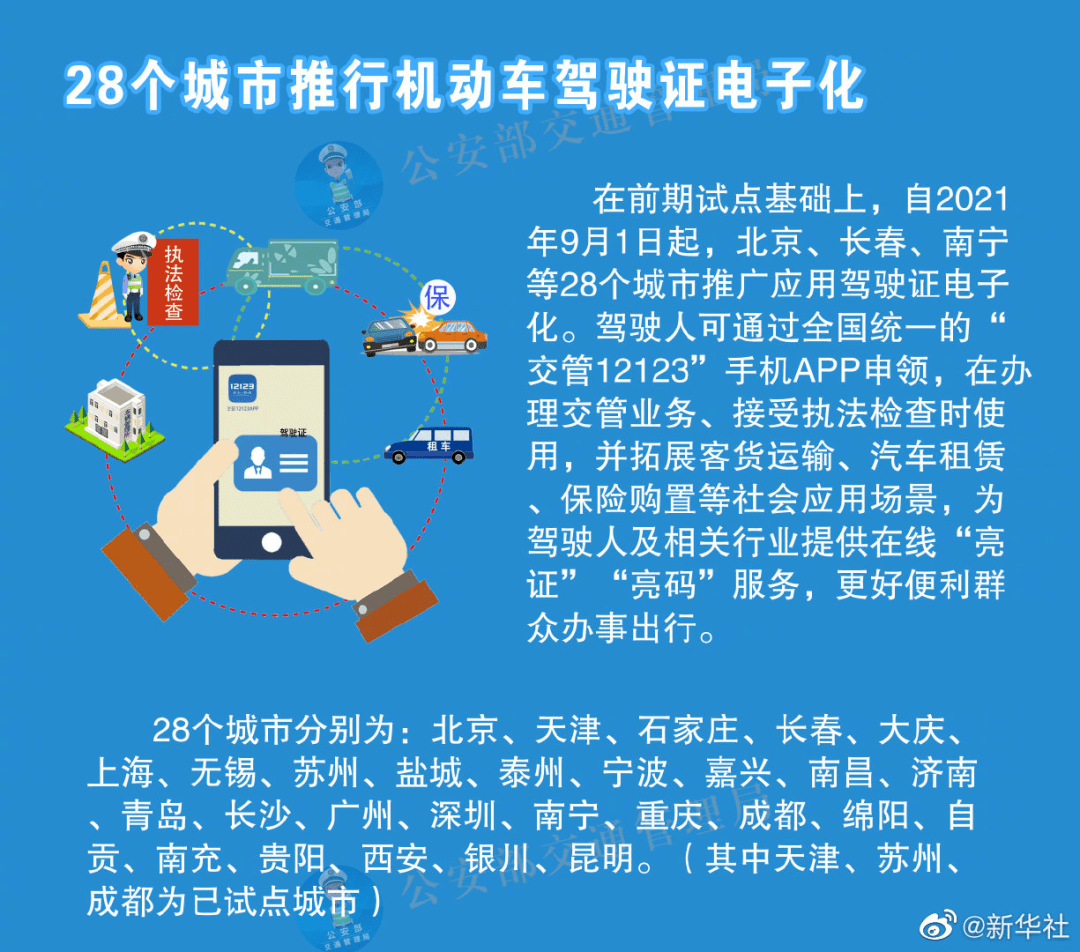 2024新澳彩资料免费资料大全,全局解答解释落实_精英款74.21