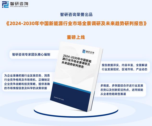 2024新奥精准资料解析揭示考试背后的秘密_新版指南10.061