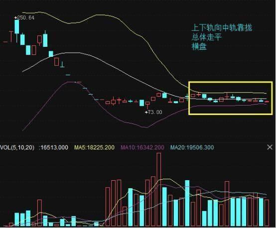 道恩股份最新动态，多维度视角下的观点分析