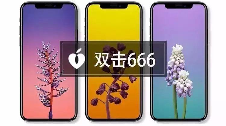 澳门天天开彩好正版挂牌2024，精细设计计划_iPhone43.19.2