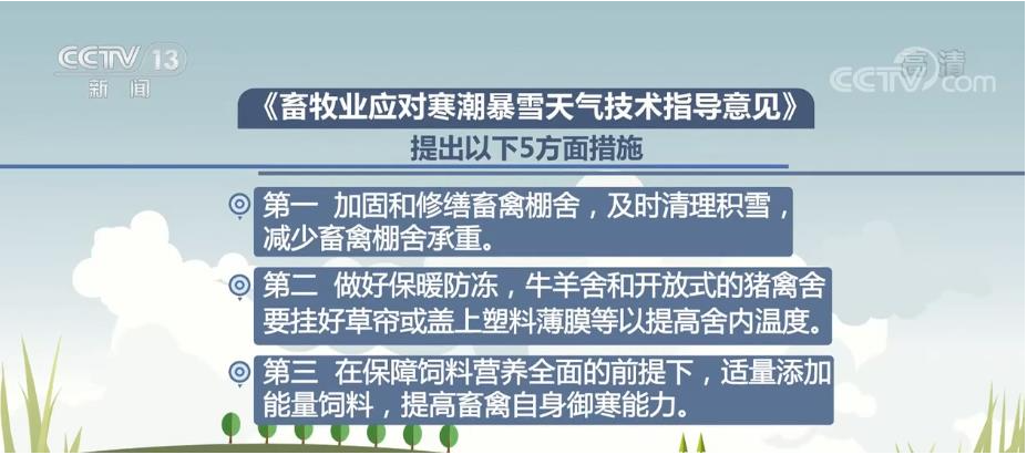 2024澳门免费资源汇总：钱庄指南及专业建议，HLO7.67.51官方授权版