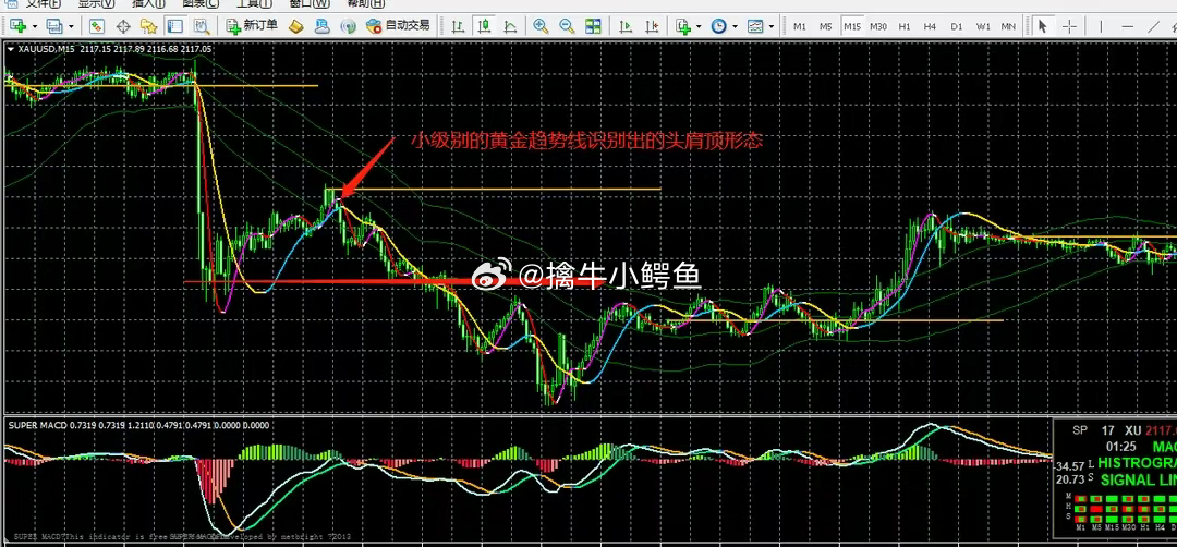 一码精准预测，DVF1.60.52便携版技术解析与应用