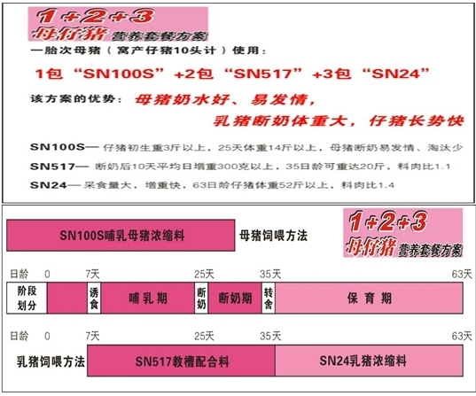 2024新澳精准资料解析：期期安全策略揭秘_KFV3.56.39全景版