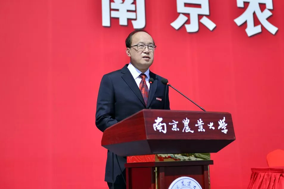 文化馆 第386页