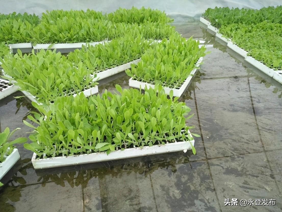 文化馆 第367页